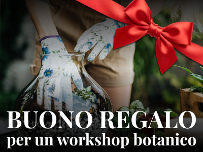 A00035 - Buono regalo per un workshop botanico del valore di 35 EURO