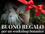 A00035 - Buono regalo per un workshop botanico del valore di 35 EURO