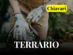 A091910 -SAB 19 SET ore 10:30- Workshop: Crea il tuo terrario [Chiavari]