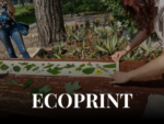 A092614 -SAB 26 SET ore 14:30- Workshop Ecoprint : Crea i tuoi calzini botanici