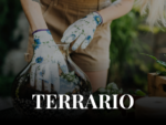 A092518 - VEN 25 SET ore 18:30- Workshop: Crea il tuo terrario + APERITIVO