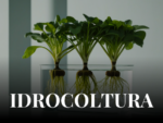 A091915 - SAB 19 SET ore 15:00- Workshop: Idrocoltura Fai da Te per la casa