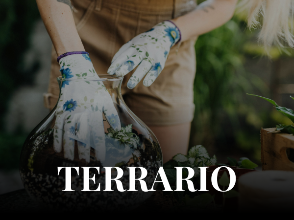 A112815 - SAB 28 NOV ore 15:00- Workshop: Crea il tuo terrario [Genova]